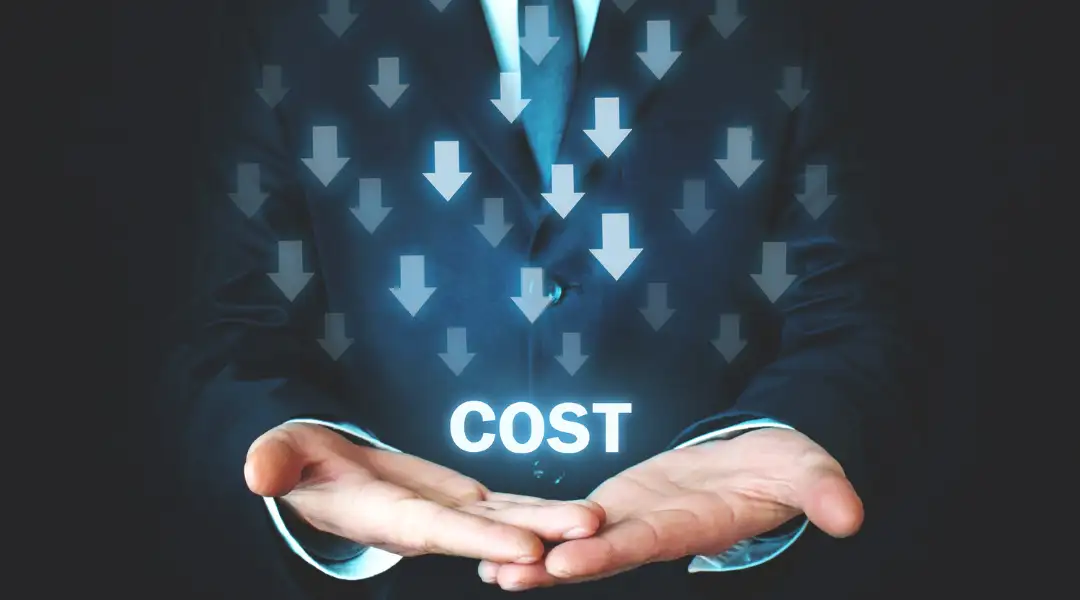 Lean and Mean: How to Run a Cost-Efficient Business