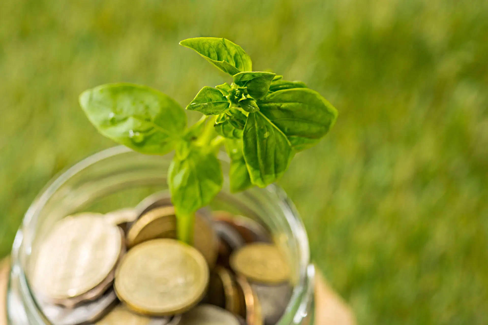 Eco-friendly Accounting: Implementing Sustainable Financial Practices for Your Business